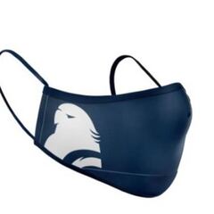 Las mascarillas del Espanyol, a escena