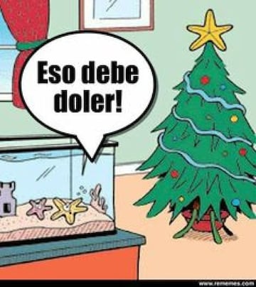 Los memes más divertidos sobre la Navidad y las cenas familiares