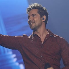 David Bisbal vuelve a demandar a Elena Tablada por incumplir una sentencia judicial