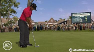 Tiger Woods PGA Tour 10, Impresiones