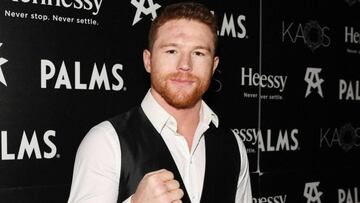 Sa&uacute;l &#039;Canelo&#039; &Aacute;lvarez acostumbra vestir outfits bastante llamativos y en esta ocasi&oacute;n pos&oacute; para una fotograf&iacute;a con un atuendo de casi un mill&oacute;n de pesos.