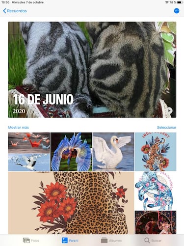 Cómo hacer un vídeo con fotos desde iPhone y iPad