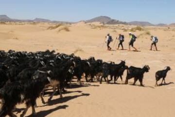 Aventura y superación en el desierto