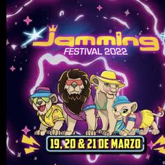 Jamming Festival: qué dijo la organización sobre la cancelación y soluciones