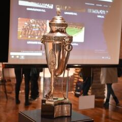 El Senado no reconoce la Copa de la España Libre del Levante