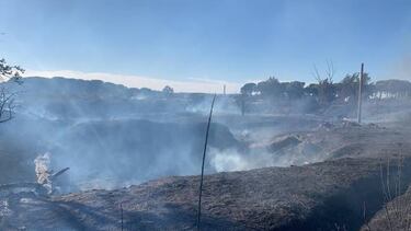 Arden los terrenos donde se construirá la nueva ciudad deportiva del Real Valladolid