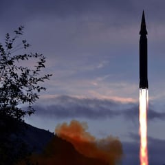 What are the Israeli missile shields like that stopped the Iranian drone attack?