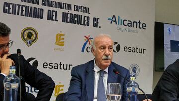 Del Bosque: “El Balón de Oro a Benzema es merecido”