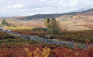 El pelotón durante la octava etapa de la Vuelta a España entre Logroño y Moncalvillo 

