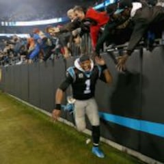 Panteras mantienen, y presumen, un invicto de papel