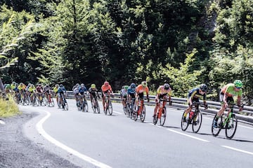 Peter Sagan se impuso en la quinta etapa del Tour de Francia tras vencer en  el esprint final. El colombiano Rigoberto Urán cayó un puesto en la general. La próxima etapa será en montaña entre Mulhouse y La Planche des Belles Filles