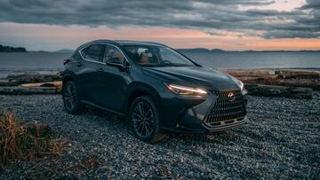 Las nuevas joyas del mercado