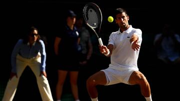 Djokovic resuelve las dudas y estará en Queen´s
