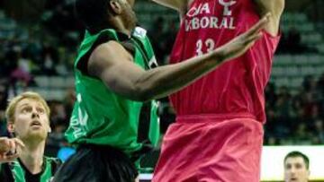 <strong>MIRZA TELETOVIC.</strong>