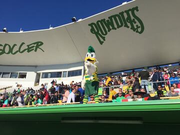 Mascota de los Rowdies.