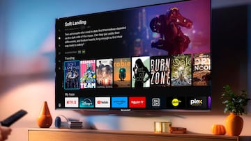 Televisor esp¨ªa