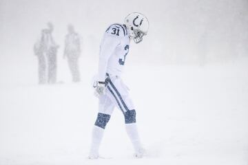 El New Era Field de Buffalo se pintó de blanco con la espectacular nevada que cayó en el juego entre los Indianapolis Colts y los Buffalo Bills. El juego terminó 13-7 en favor de los Bills. La temperatura estaba en -2 grados centígrados con vientos de 29 kilómetros por hora.