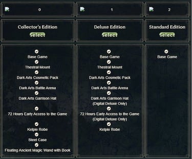 Filtradas las ediciones de Hogwarts Legacy, aunque pueden ser provisionales o antiguas