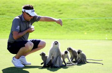 Ian Poulter alimenta a los monos en el rango en la Ciudad Perdida antes del Nedbank Golf Challenge en Gary Player CC el 7 de noviembre de 2017 en Sun City, Sudáfrica.