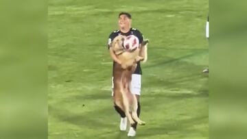 La adorable actuación de este peludo no defraudo, con la escena típica de los perros, se llevó los aplausos del público. Entro al campo, consiguió atrapar el balón y salió en brazos.