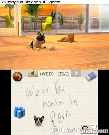 Captura de pantalla - nintendogs_diary_uk.jpg