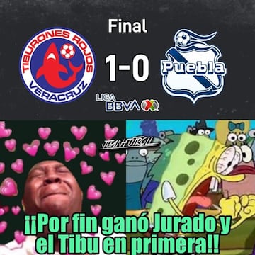 Los memes lloran de alegría con la victoria de El Tibu