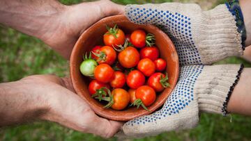 El movimiento global Slow Food pretende concienciar sobre los beneficios de una alimentaci&oacute;n buena, limpia y justa