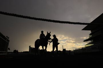 El jockey Chris Williams posa para la foto del vencedor ante los medios de comunicación, a lomos de Dunbrody Power, momentos después de ganar la novena carrera del Real State Handicap, que tuvo lugar durante el Sydney Racing en el hipódromo de Royal Randwick, en la localidad australiana.