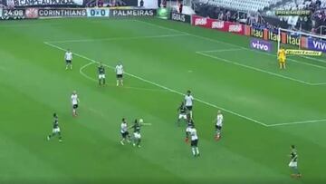 ¡Una de las mejores exhibiciones de Valdivia en Brasil cumple cinco años!