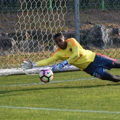 Números de los candidatos a ser tercer arquero de Selección