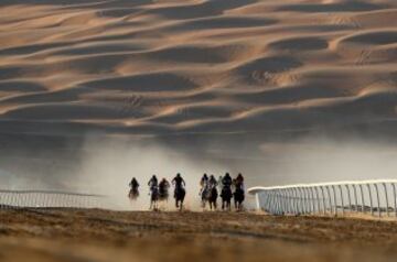Carrera de caballos durante el Festival Liwa Sports que se disputa en Abu Dhabi.