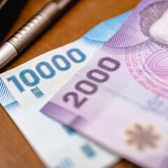 Qué bonos se entregarán este invierno y a cuáles puedo postular