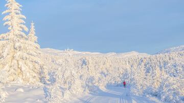 A skier treks amid the white landscape with snow-covered trees at Skeikampen in Gausdal, some 40 km north of Lillehammer, Norway December 15, 2023. NTB/Paul Kleiven via REUTERS ATTENTION EDITORS - THIS IMAGE WAS PROVIDED BY A THIRD PARTY. NORWAY OUT. NO COMMERCIAL OR EDITORIAL SALES IN NORWAY.