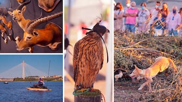 ¡Nos vamos de feria: Feciex!