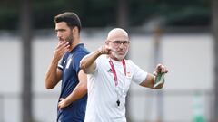Who is Luis de la Fuente? Spain’s new national team manager named to replace Luis Enrique