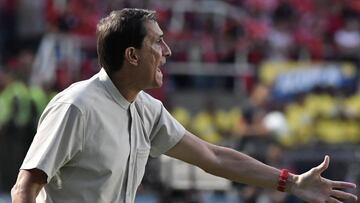 Guimaraes: "Estamos totalmente extasiados"