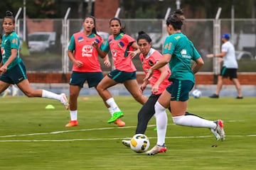 Luego de la victoria ante Paraguay, la Selección Femenina de Brasil volvió a trabajos de campo en la cancha de la Universidad Industrial de Santander, esta vez con miras a la gran final de la Copa América Femenina ante Colombia.