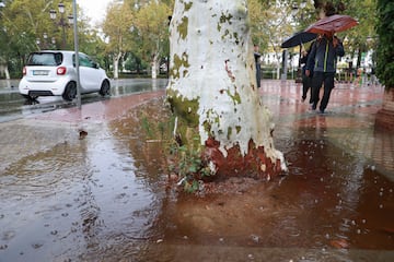 Calles anegadas en el centro de Sevilla.