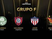 Copa Libertadores 2019: análisis completo del grupo F