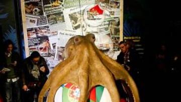 Inauguran en Alemania una estatua al pulpo-oráculo Paul