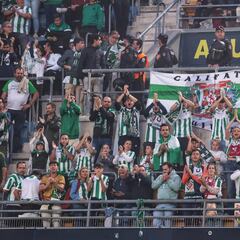 El Córdoba llega a su récord histórico de abonados, 17.370