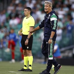 Pellegrini contra la adversidad