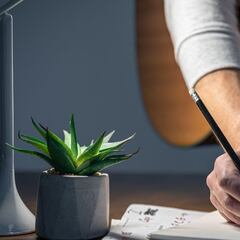 Día del Compositor en México: origen y desde cuándo se conmemora