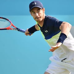 Queen's confirma a Del Potro y Anderson y espera a Murray