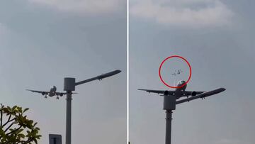 Un avión impacta contra una bandada de pájaros y deja una imagen escalofriante