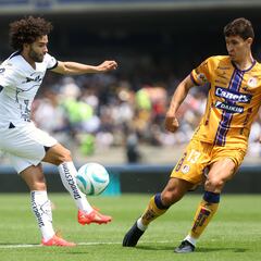 Pumas vs Atlético San Luis: Horario, canal, TV, cómo y dónde ver Liga MX Apertura 2024