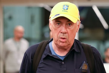 El italiano percibir alrededor de 770.000 euros al mes, que se convertirn en 10 millones de euros al a?o. El seleccionador italiano recibir un sueldo que supondr ms del doble que el que recibieron tanto Tite, Fernado Diniz o Dorival Jnior. 