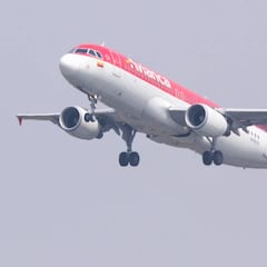 Volar con mascotas en Avianca: Requisitos, tipos de animales y precios