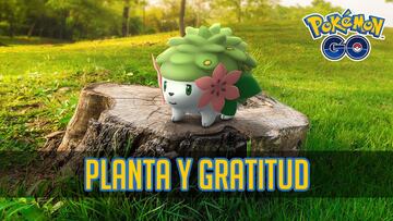 pokemon go investigacion especial planta y gratitud como capturar a shaymin