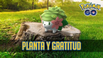 pokemon go investigacion especial planta y gratitud como capturar a shaymin